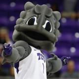 SuperFrog Scheduler